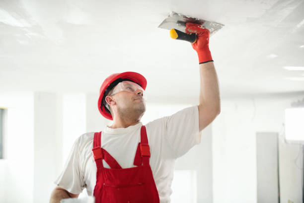 Best Commercial Painting  in Pulaski, NY